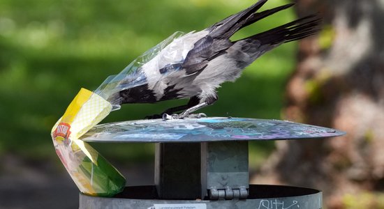 Alpos un Arktikā atrasti mikrobi, kas pārstrādā plastmasu arī aukstumā