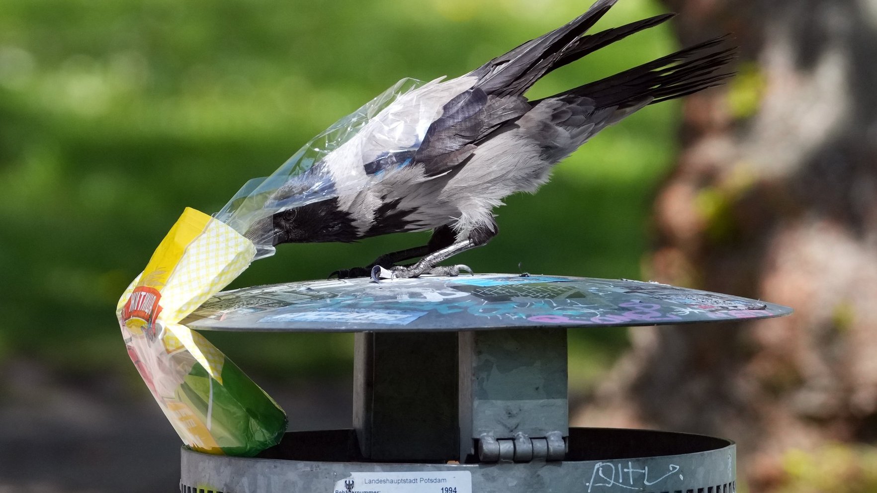 No precipitation is expected on Friday