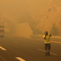 Из-за лесных пожаров в Греции погибли не менее 50 человек