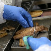 Zivju konservu ražotājs 'Unda' pirks jaunas iekārtas 157 238 eiro vērtībā