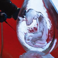 ФОТО. В Елгаве появились первые ледяные скульптуры предстоящего фестиваля