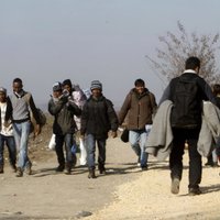 EP atbalsta centralizētu ES patvēruma sistēmu