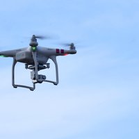 VUGD: жители все чаще просят снять с деревьев застрявшие дроны