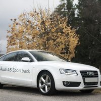 Audi A5 Sportback: торжество cпортивной формы