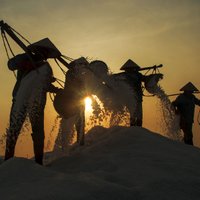 Foto: Kad smags darbs attēlots kā māksla – sāls ieguve Vjetnamā