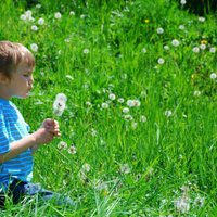 Pārāk sterila un pārāk piesārņota vide - iemesli, kāpēc pieaug mazu bērnu saslimstība ar alerģijām