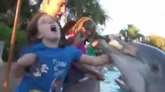 dolphin biting girl usa florida kadrs no video