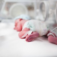 Новые факты о трагедии в Добеле: погибшая многодетная мать была беременна