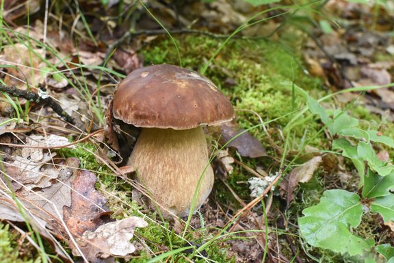 Прогноз погоды