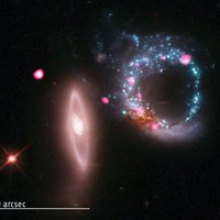 Астрономы впервые измерили размеры черной дыры