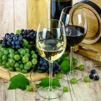 В гостях у Диониса: 6 лучших винных регионов Европы