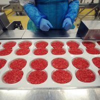 ES testos zirgu DNS atrasts 5% liellopu gaļas produktu