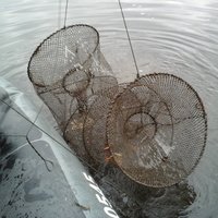 Vides inspektori no Juglas ezera izcēluši zvejas tīklus 150 metru garumā