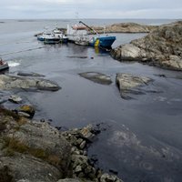 На побережье Швеции — крупнейший разлив нефти