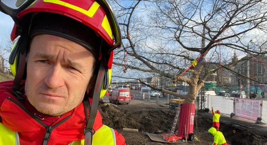 Arborists un piecu bērnu tētis Edgars Neilands: kāpšana kokos mūsu attīstībā ir nepieciešama