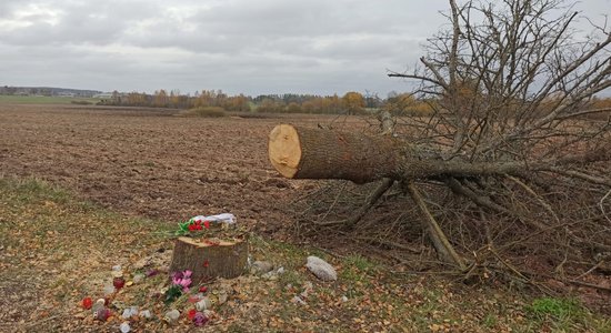 Lizumā nozāģē koku, kurā ietriecās un dzīvību zaudēja četri jaunieši  