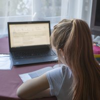 Из-за "удаленки" школьники могут чаще становиться жертвами интернет-педофилов