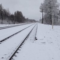 Семья погибшего под Резекне ребенка не была в поле зрения соцслужб. Можно ли было предотвратить трагедию?