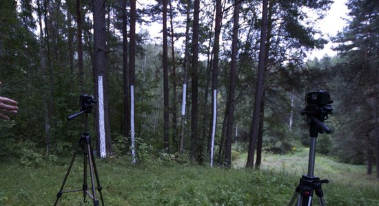 ‘Tie Koki’ – eksperimentālā mūzika Rīgā un video tiešraide no meža Cēsīs