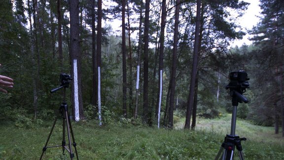 ‘Tie Koki’ – eksperimentālā mūzika Rīgā un video tiešraide no meža Cēsīs