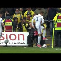 ВИДЕО: Фанаты датского клуба забросали футболистов мертвыми крысами