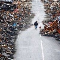 Ученые: Японии угрожает огромное цунами высотой до 30 метров