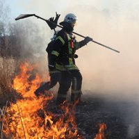 Plašo kūlas un meža ugunsgrēku Salaspils pagastā izdevies lokalizēt