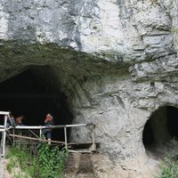 На Алтае обнаружены останки дочери денисовца и неандерталки