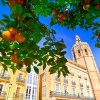 Ceļojuma piezīmes: viena diena burvīgajā Valensijā bez tūristu ordām