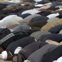 Француз задержан по подозрению в подготовке теракта в мечети