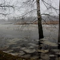 Foto: Vētras 'Fēlikss' briesmu darbi Latvijā