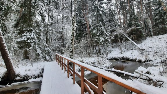 Lāčupītes dendroloģiskā parka jaunumi - 11