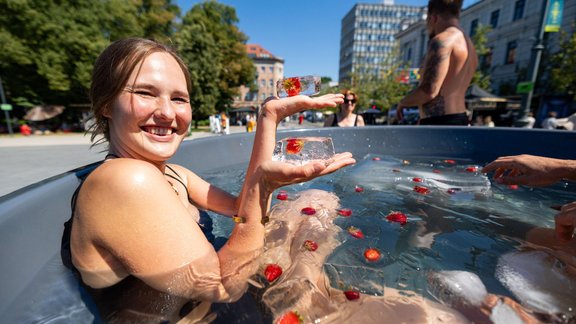 Zemeņu festivāls Viļņā