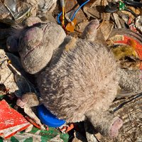Atkritumu monopols: konkurences uzraugi brīdina Rīgas domi