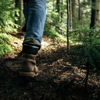 Телеработа и прогулка по лесу: счастлив как финн во времена Covid