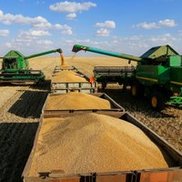 В Рижском порту перевален исторически рекордный объем зерновых грузов