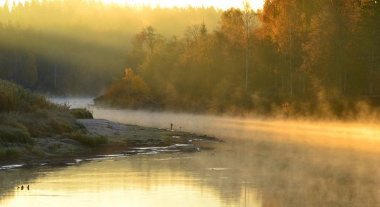 3. jūnijā Līgatnes dabas takās notiks Gaujas Nacionāla parka diena