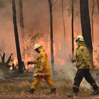 Austrālijā ugunsgrēkos bojāgājušo skaits sasniedzis 17