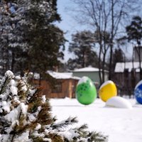 На Пасху в некоторых регионах Латвии возможен снег