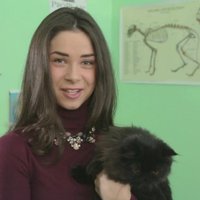 Video: Kā rūpēties par sava kaķa apmatojumu? Eksperta padomi