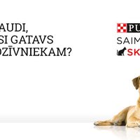 Tests: Pārbaudi, vai esi gatavs mājdzīvniekam?