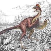 'Cālēns no elles': atrasta jauna dinozauru suga