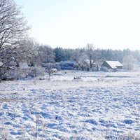 Lauksaimnieki par "Rail Baltica" nemaksās, pauž "Zemnieku saeima"