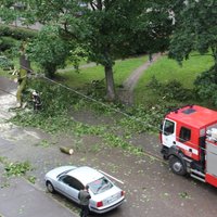 Vētras dēļ visvairāk elektrotīklu bojājumu valsts centrālajā daļā