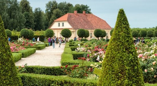 Rožu ziedēšanas laikā Rundāles pils dārzā notiks tradicionālie Dārza svētki