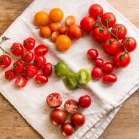 Kāpēc tomātus nav ieteicams uzglabāt ledusskapī
