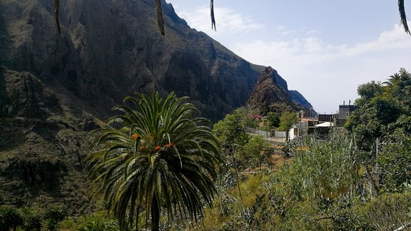 Maska, Tenerife - 13