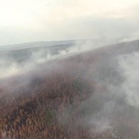 Putins iesaista armiju meža ugunsgrēka dzēšanā Sibīrijā