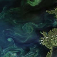 ФОТО NASA: За Сааремаа вращается гигантский вихрь из сине-зеленых водорослей