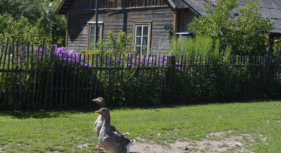 Foto: Šī gada skaistākie un sakoptākie īpašumi Balvu novadā